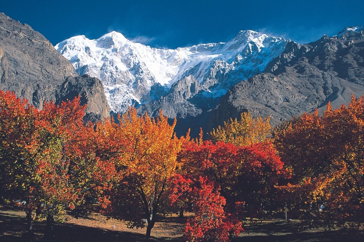 Autumn-in-Hunza