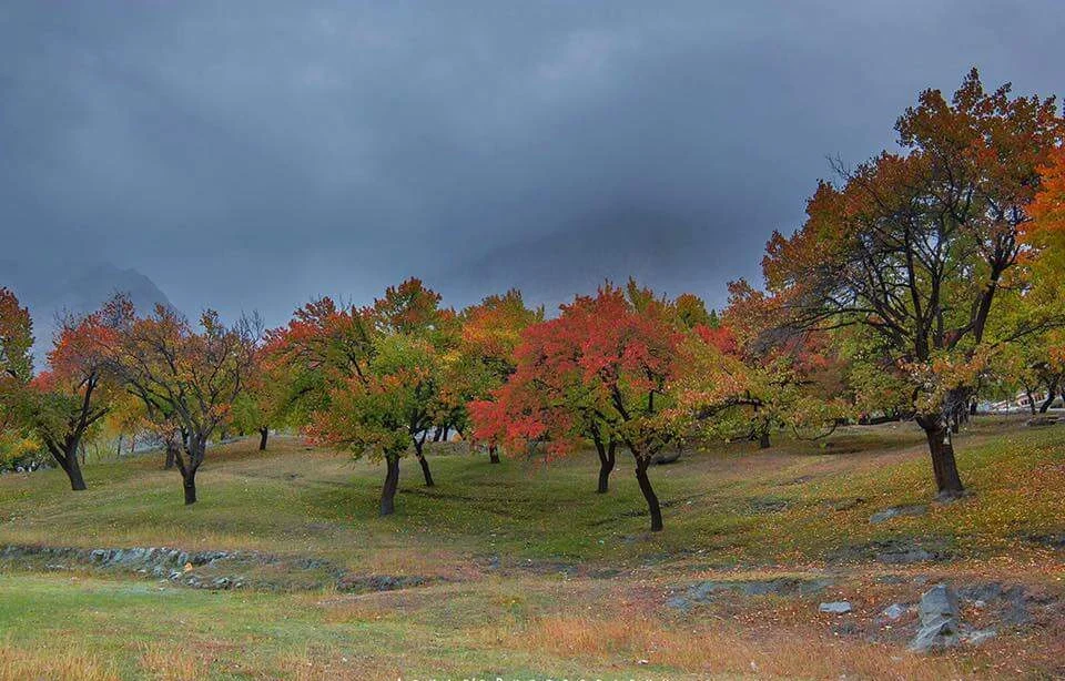 Autumn-skardu