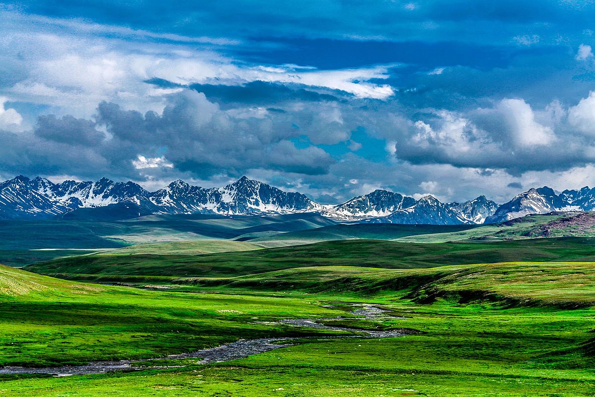 deosai