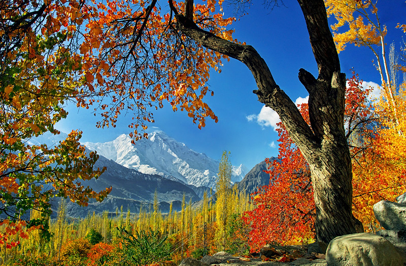 hunza